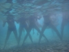 20120629 Pula