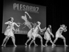 plesokaz-a-22